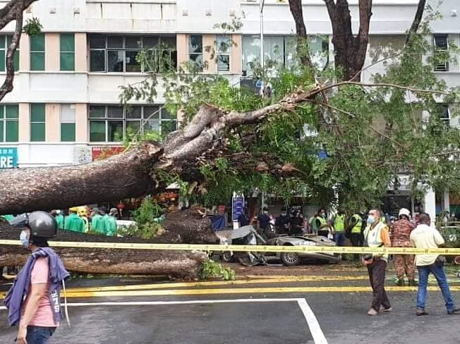 Sebuah pokok tumbang di Jalan Perak, Georgetown menyebabkan seorang mekanik maut