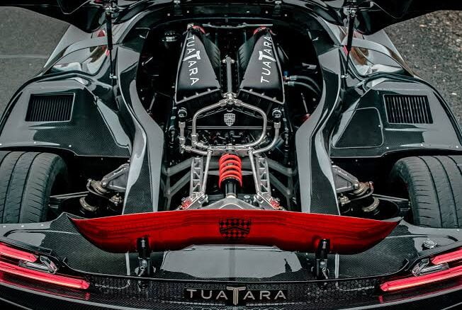 210610-tuatara-v007.png