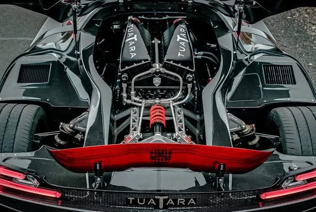 210610-tuatara-v007.png