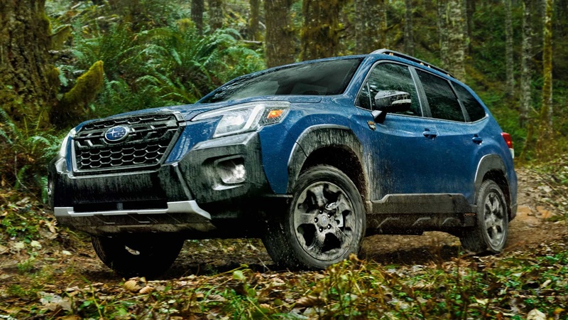 subaru forester wilderness 04