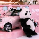 Geely Panda Mini EV 03