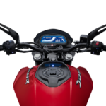 Dominar D250 04
