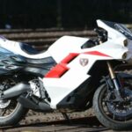 shin kamen rider 02