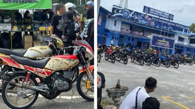 rxz members 2023