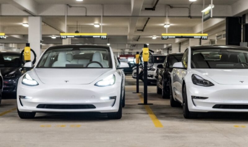 tesla-model-3-hertz-full-price-order-elon-musk-
