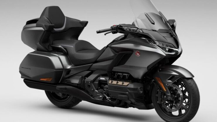 24YM Gold Wing