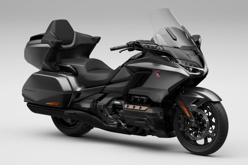24YM Gold Wing