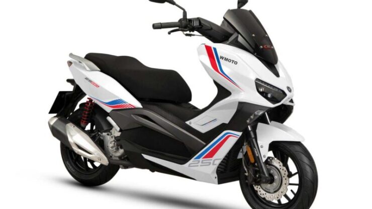 mforce-wmoto-es250i-2024-1