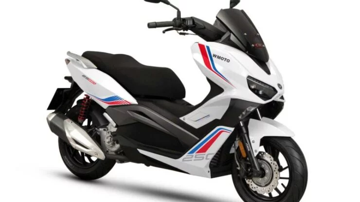 mforce-wmoto-es250i-2024-1