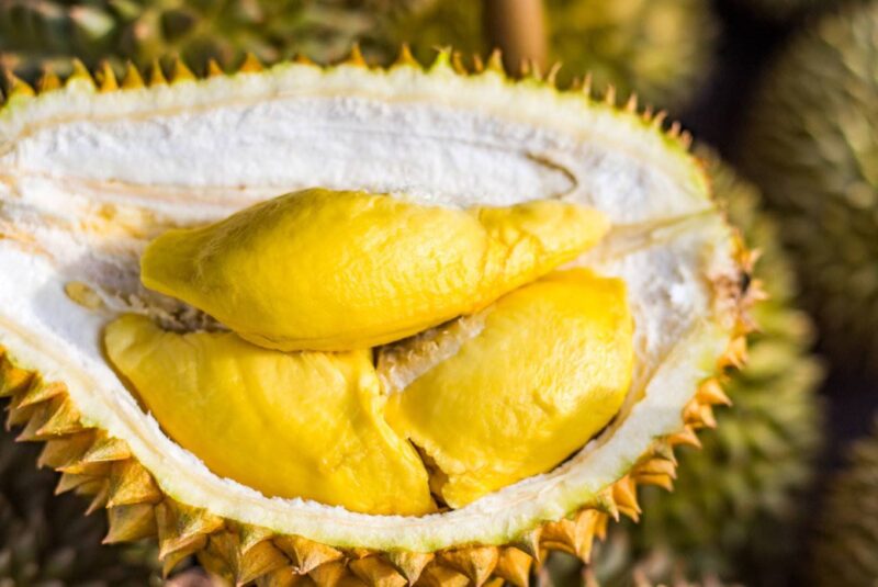 durian
